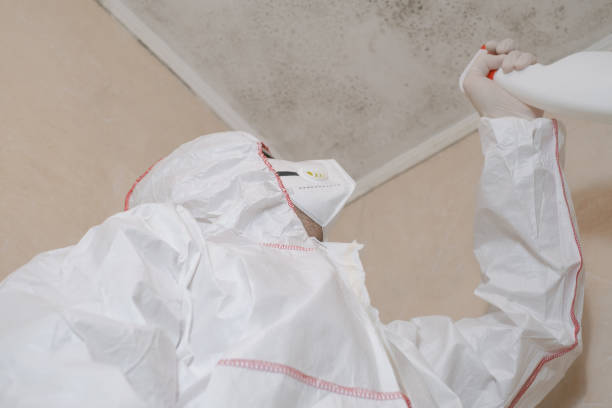 Best Black Mold Removal  in Resaca, GA