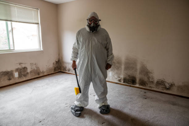 Best Affordable Mold Removal  in Resaca, GA